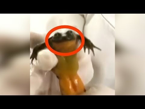 Esta foto estava em um site de encontros. Pouco depoi…