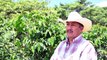 Guatemalan coffee producers dream of return to US amid price fall