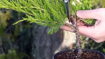 통영출장타이O7OW7333W9649｛카톡VV23}ぱ통영출장안@마ぱ통영출장샵ぱ통영출장맛사지 ぱ통영출장걸썰 통영출장걸가격 통영출장러시아 통영외국인후불출장업소 통영24시출장마사지샵'예약トドナ