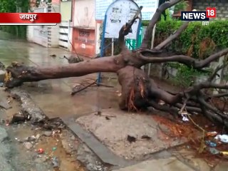 पानी-पानी हुआ जयपुर: लगातार बारिश से सड़कें धंसी, पेड़ गिरे, अलर्ट जारी
