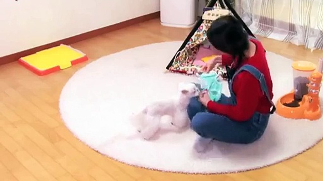 고령출장안마 -후불100%ョØ1ØA2997A5327｛카톡KC789｝ 고령전지역출장안마 고령오피걸 고령출장마사지 고령안마 고령출장마사지 고령콜걸샵ピフブ