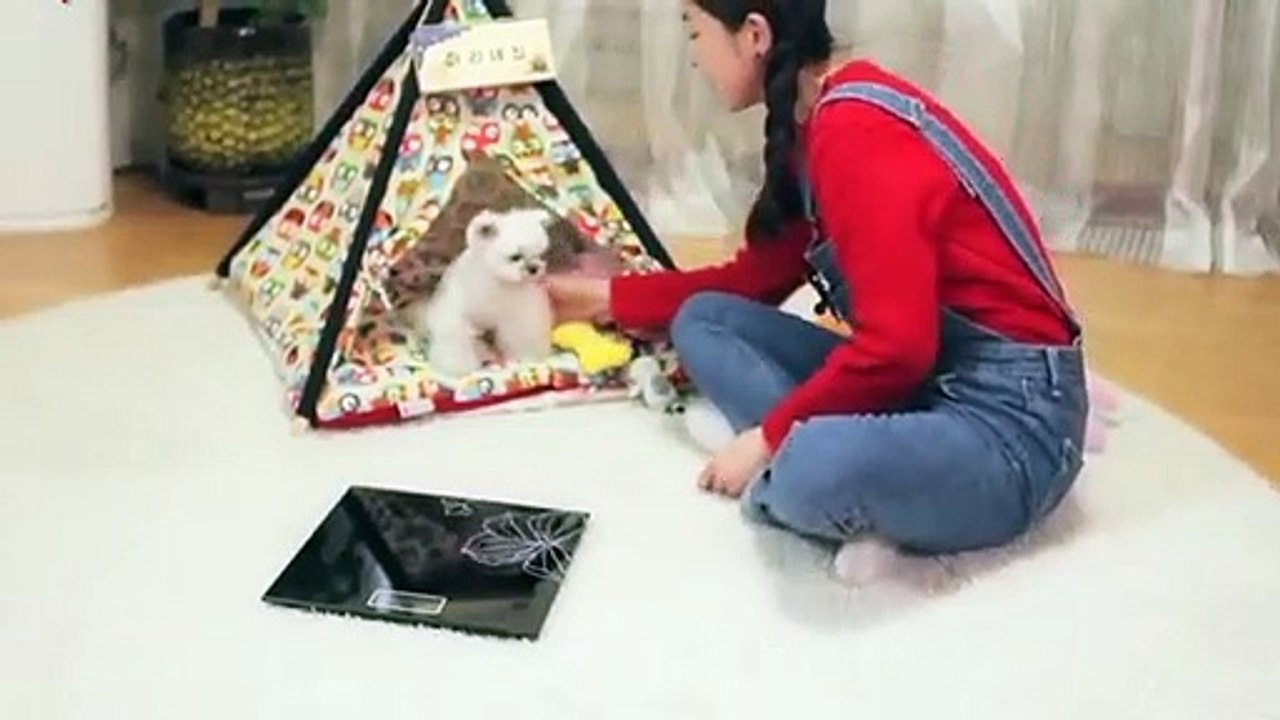 계룡출장타이O7Oy7575y0069｛카톡RD654｝ぱ계룡출장안@마ぱ계룡출장샵ぱ계룡출장맛사지 ぱ계룡출장걸썰 계룡출장걸가격 계룡출장러시아 계룡외국인후불출장업소 계룡24시출장마사지샵'예약∑⇒∃