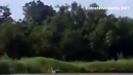 Pescadores graban una criatura ‘mitad humana y mitad perro’ en un río de Texas