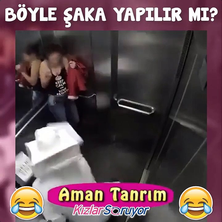 Asansörde arı şakası