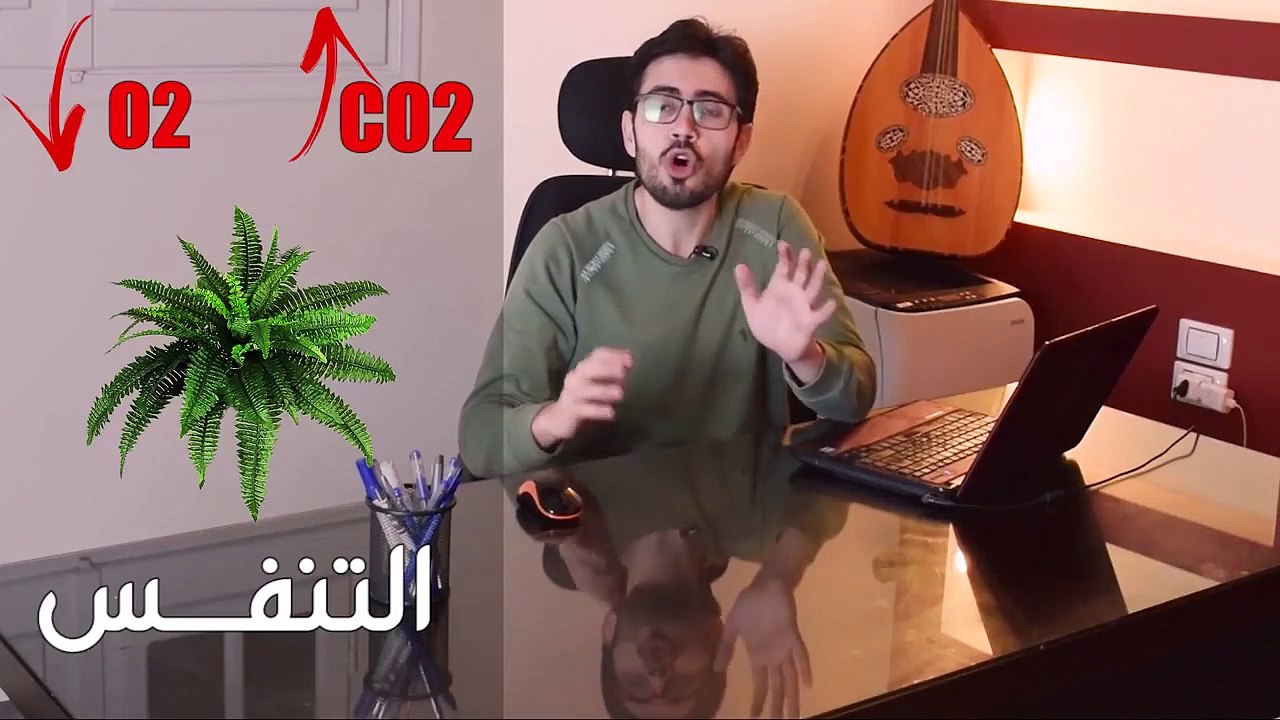 هل النباتات فعلا بتنقى الهوا  │ التنفس و البناء الضوئى