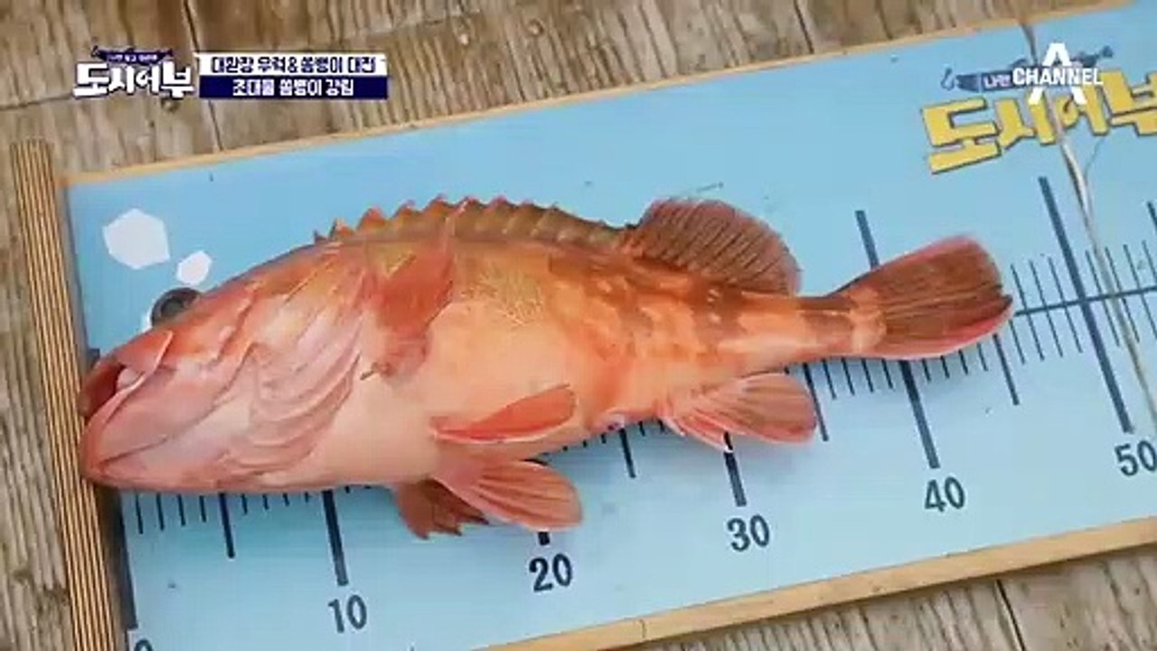 드라마 홍보하러 나왔다며;; 첫 낚시 성공에 텐션 up↑된 상엽^^ 근데 물고기 못...