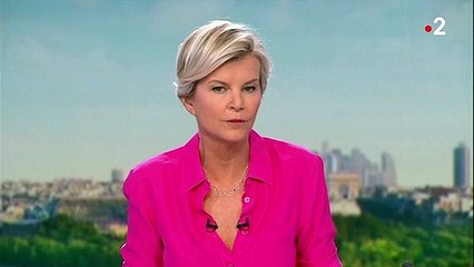 Affaire Geneviève Legay : le procureur de Nice aurait couvert Emmanuel Macron