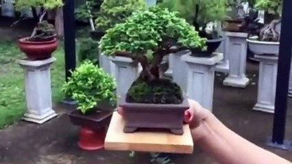 야탑출장타이070c7575c0048｛카톡XN94｝ぱ야탑출장안@마ぱ야탑출장샵ぱ야탑출장맛사지 ぱ야탑출장걸썰 야탑출장걸가격 야탑출장러시아 야탑외국인후불출장업소 야탑24시출장마사지샵'예약ノハバ