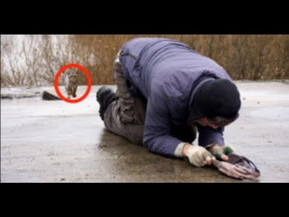 Cet homme est à bout mais ce que fait le chat va changer sa vie à jamais