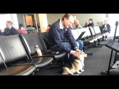 Elle lui demande si le chien le dérange. La réponse va lui donner les larmes aux yeux.