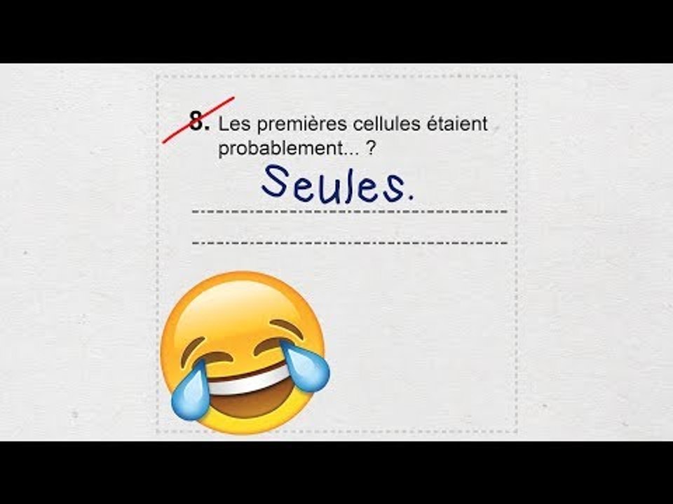 13 réponses d'élèves hilarantes à des contrôles en classe.