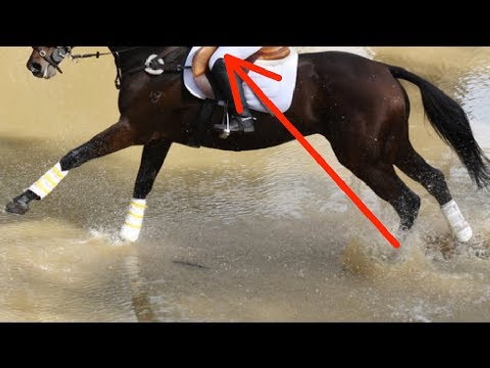 Ce que cette jeune femme de 27 ans fait à cheval est incroyable !
