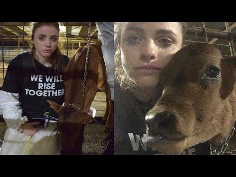 Cette femme de 23 ans s'attache en cachette à un veau pour le...