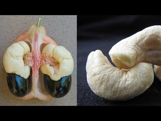 7 choses que les gens mangent sans hésitation, même si elles peuvent être dangereuses.