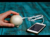 Como carregar seu celular com uma cebola