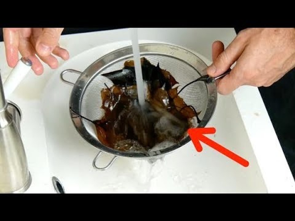 A folha fica quase transparente com apenas 3 ingredientes. Faça coisas incríveis com ela!