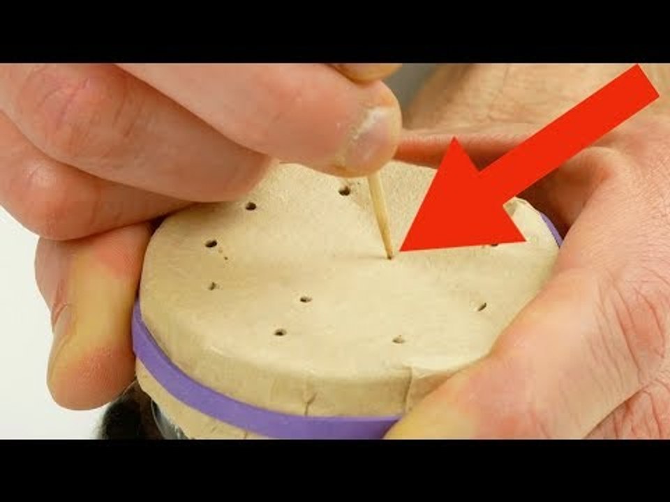 Com estas 8 dicas, o seu jardim será um sucesso. Para a nº 4 você precisa de 3 palitos de dente.