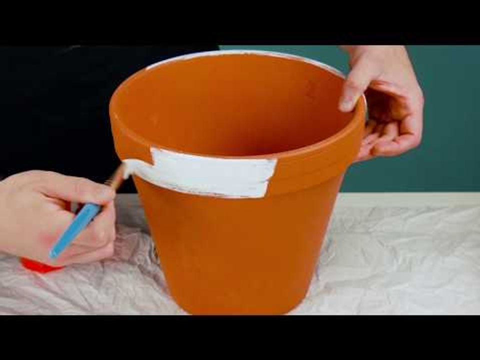 Cole fita crepe em 3 vasos de flores. Estas são as 7 melhores dicas para os dias quentes!