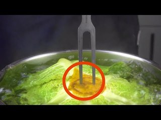 Voilà pourquoi il utilise le chou. Pour faire des lasagnes incroyables !