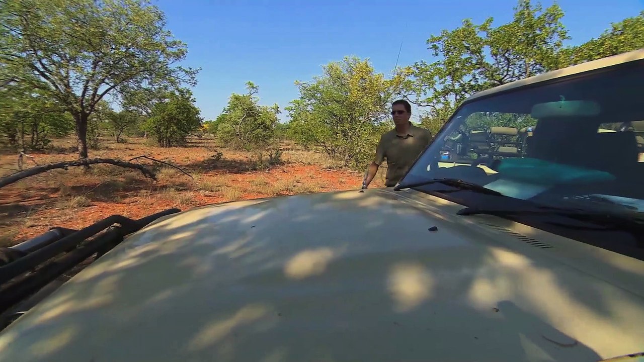 il faut sauver les rhinocéros noirs  teaser