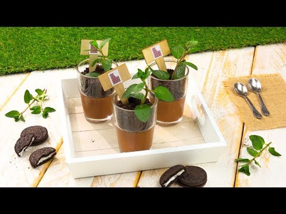 Plante sua sobremesa: Vasinhos de mousse de chocolate