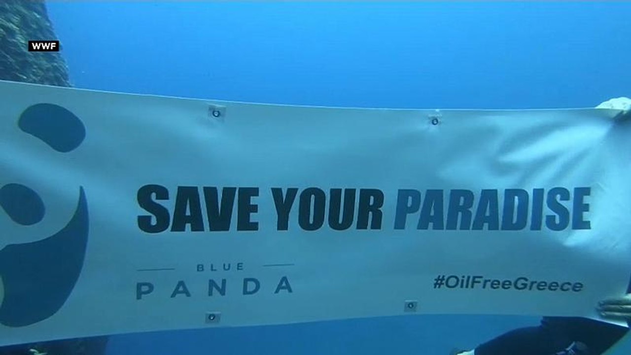 Blauer Panda schützt Schildkröten gegen Ölbohrer