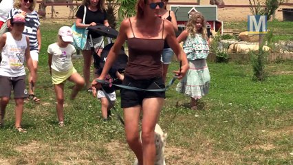 Rencontre avec des fauves à la ferme pédagogique de Trets