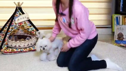 임실출장안마 -후불100%ョOiOy2997y5327｛카톡KC789｝ 임실전지역출장안마 임실오피걸 임실출장마사지 임실안마 임실출장마사지 임실콜걸샵ъыь