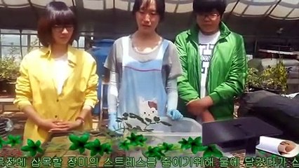 용인출장안마 -후불100%ョ070c7575c0048｛카톡XN94｝ 용인전지역출장안마 용인오피걸 용인출장마사지 용인안마 용인출장마사지 용인콜걸샵√◎≪