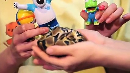 의령출장안마 -후불100%ョOiOc7685c6221｛카톡PP888｝ 의령전지역출장안마 의령오피걸 의령출장마사지 의령안마 의령출장마사지 의령콜걸샵ĦĲĿ