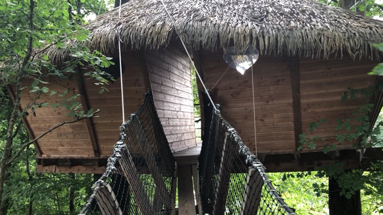 Les cabanes dans les arbres