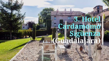 16 hoteles para ir con mascota