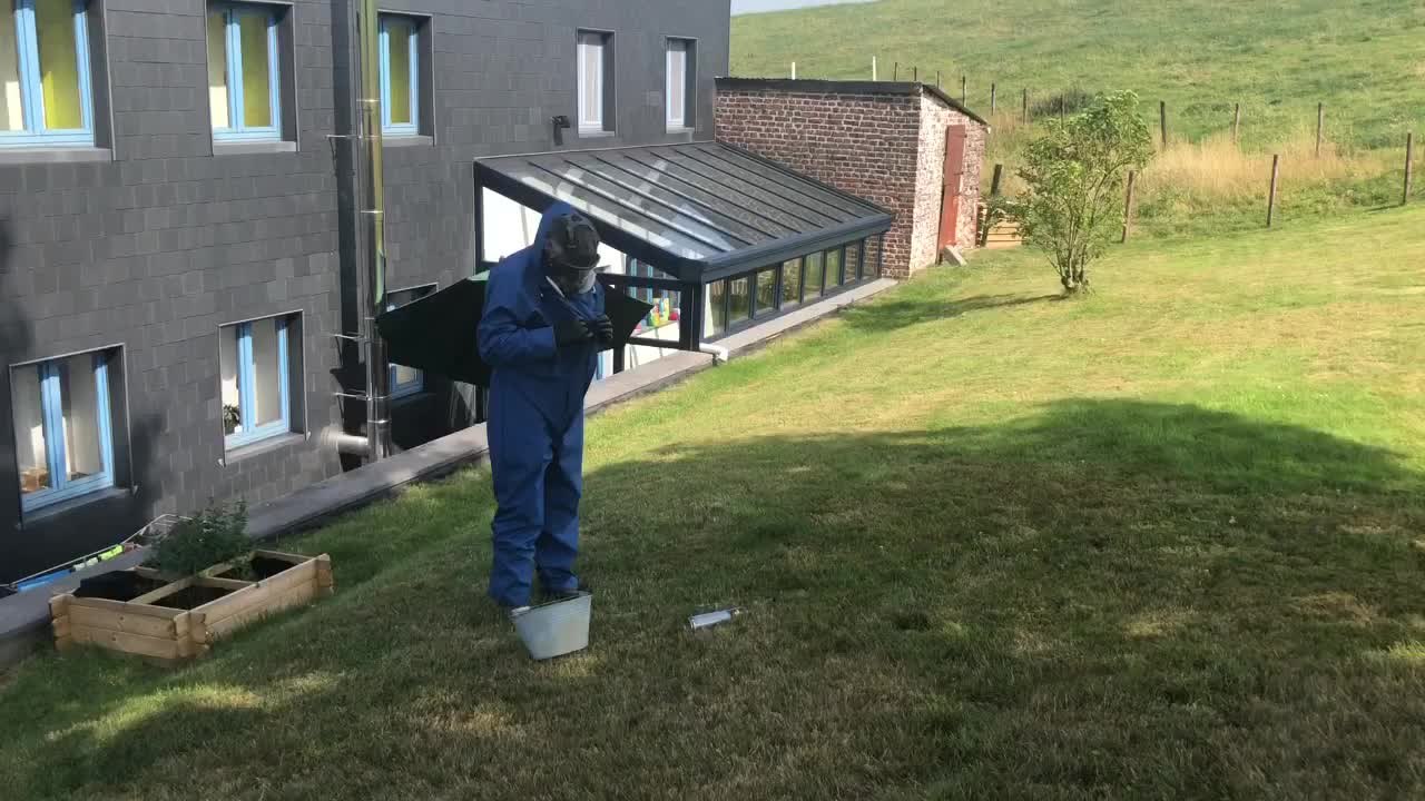 Chenilles processionnaires