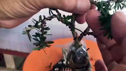 고창출장타이O7Os7301s9649｛카톡LA666｝ぱ고창출장안@마ぱ고창출장샵ぱ고창출장맛사지 ぱ고창출장걸썰 고창출장걸가격 고창출장러시아 고창외국인후불출장업소 고창24시출장마사지샵'예약★●◎