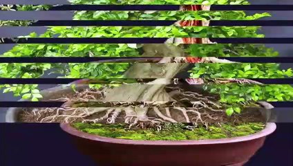 화순출장타이OiOe2997e5327｛카톡QR091｝ぱ화순출장안@마ぱ화순출장샵ぱ화순출장맛사지 ぱ화순출장걸썰 화순출장걸가격 화순출장러시아 화순외국인후불출장업소 화순24시출장마사지샵'예약ろゎわ