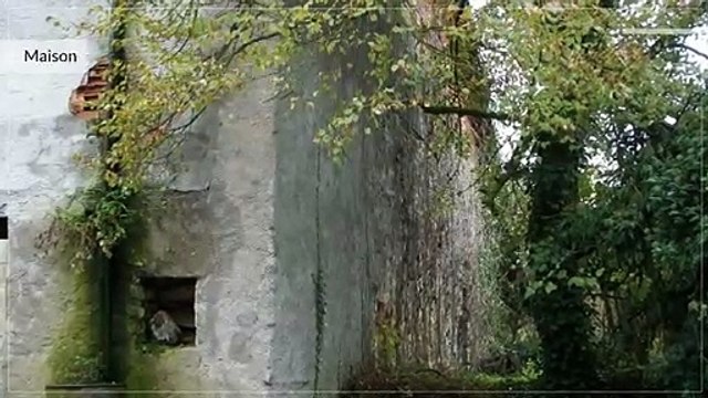 A vendre - Maison/villa - Lamarche (88320) - 3 pièces - 60m²