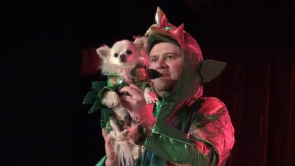 How this dog became a comedy star with a Las Vegas residency