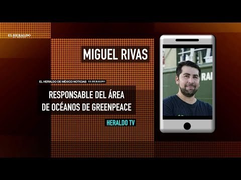 Más de 700 especies afectadas por plásticos en océanos: Miguel Rivas