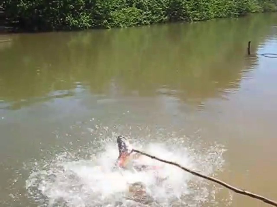 Il nous montre ce qui arriverait si on mettait le pied dans une rivière pleine de piranhas