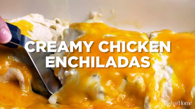 Creamy Chicken Enchiladas