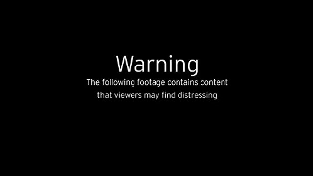 Cette mouche décapitée tient sa tête entre ses pattes