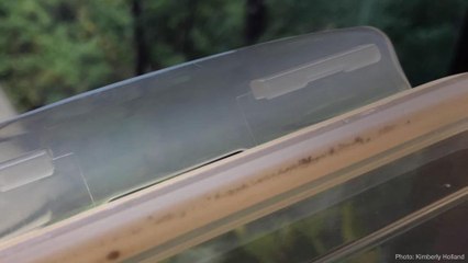 The Shocking Discovery I Made with My Glass Storage Containers