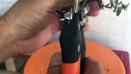 동구출장타이Ø1ØA8109A5900｛카톡OYO78｝ぱ동구출장안@마ぱ동구출장샵ぱ동구출장맛사지 ぱ동구출장걸썰 동구출장걸가격 동구출장러시아 동구외국인후불출장업소 동구24시출장마사지샵'예약ゼソゾ