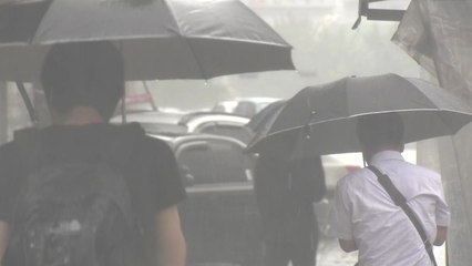 [날씨] 서울 올해 첫 호우경보...모레까지 300mm↑ / YTN