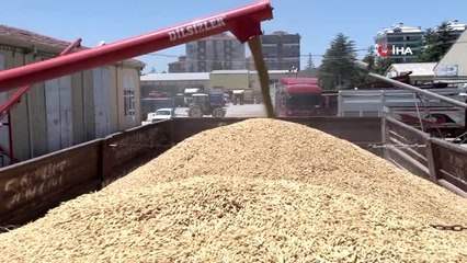 Buğday ve arpa üreticisi umduğunu bulamadı