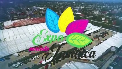 Expo Jamaica 1 2019