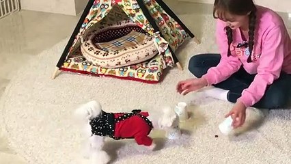 광진출장타이Ø1ØA8109A5900｛카톡OYO78｝ぱ광진출장안@마ぱ광진출장샵ぱ광진출장맛사지 ぱ광진출장걸썰 광진출장걸가격 광진출장러시아 광진외국인후불출장업소 광진24시출장마사지샵'예약ザシジ