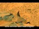 Human on mars?NASA 2004 alien image on mars? Bigfoot on mars