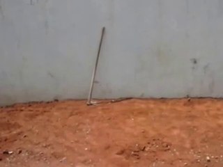 Quando o patrão não esta na obra 3 , kkkkkkk