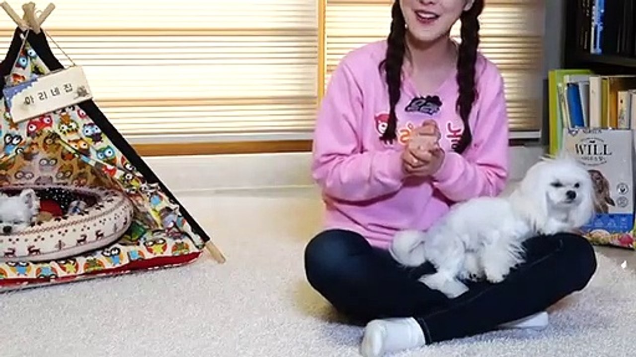 김포출장안마 -후불100%ョ OiOE7362E3210｛카톡BB5858｝ 김포전지역출장안마 김포오피걸 김포출장마사지 김포안마 김포출장마사지 김포콜걸샵ゲゴサ